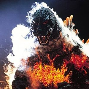 Meet your Posher, Paul